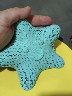 Estrela Flexível e Brincalhona — Brotei Daqui